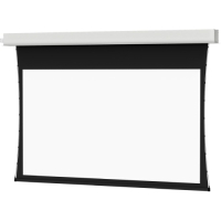 Da-Lite Tensioned Advantage Electrol Manual Projection Screen - 109" - 16:10 - Ceiling Mount image