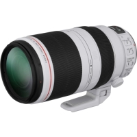 Canon - 100 mm to 400 mm - f/4.5 - 5.6 - Telephoto Zoom Lens for Canon EF image