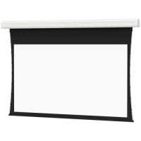 Da-Lite Tensioned Large Advantage Electrol Electric Projection Screen - 247" - 16:9 - Recessed/In-Ceiling Mount image