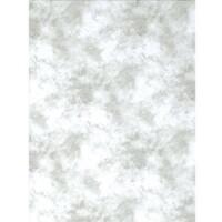 Promaster Cloud Dyed Backdrop - 10'' x 12'' - Light Gray image