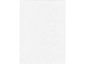 Promaster Solid Backdrop - 6'' x 10'' - White