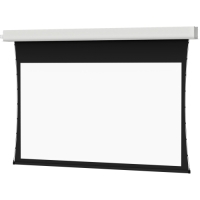 Da-Lite Tensioned Advantage Electrol Electric Projection Screen - 164" - 16:10 - Recessed/In-Ceiling Mount image