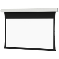 Da-Lite Tensioned Advantage Electrol Electric Projection Screen - 164" - 16:10 - Wall Mount, Ceiling Mount image