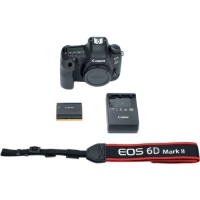 Canon EOS 6D Mark II 26.2 Megapixel Digital SLR Camera Body Only image
