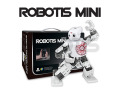 Robotis DARWIN MINI Robot | Mini Programmable Robot