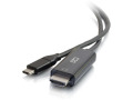 C2G 6ft USB C to HDMI Adapter Cable - 4k - Audio / Video Adapter