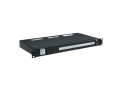 9-outlet 15A Rackmount IP Controlled PDU with RackLink