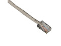 CAT5e 350-MHz Patch Cable UTP CM PVC RJ45 M/M BG 3FT