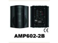 6" 4 Ohms 2-way Amplified Surface Mount Speaker, Black