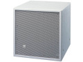 White 12-in Subwoofer