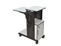 Mobile Presentation Station with Cabinet and Electrical Assembly