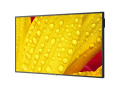65" Ultra High Definition Commercial Display
