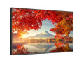 55" Wide Color Gamut Ultra High Definition Professional Display