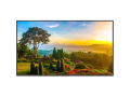 55" Ultra High Definition Professional Display with Integrated ATSC/NTSC Tuner