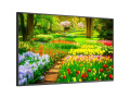 49" Ultra High Definition Professional Display with integrated SoC MediaPlayer with CMS platform