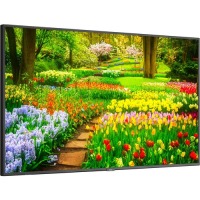 49" Ultra High Definition Professional Display with integrated SoC MediaPlayer with CMS platform image