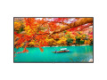 43" Wide Color Gamut Ultra High Definition Professional Display with integrated SoC MediaPlayer with CMS platform