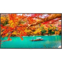 43" Wide Color Gamut Ultra High Definition Professional Display with integrated SoC MediaPlayer with CMS platform image