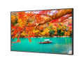43" Wide Color Gamut Ultra High Definition Professional Display with Built-In Intel PC