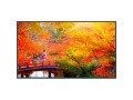 49" Wide Color Gamut Ultra High Definition Professional Display  with Built-In Intel PC