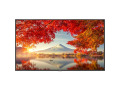 55" Wide Color Gamut Ultra High Definition Professional Display with Built-In Intel PC