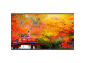 MA491-IR 49" Wide Color Gamut Ultra High Definition Professional Display
