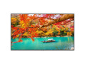 MA431-IR 43" Wide Color Gamut Ultra High Definition Professional Display