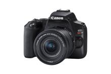 Canon EOS Rebel SL3 (Black) EF-S 18-55mm IS STM Kit - 3453C002  image