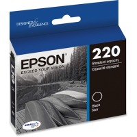 Epson DURABrite Ultra T220120 Original Ink Cartridge - Black image