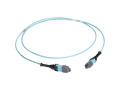 20m MTP OM3 Fiber Optic Trunk Cable Plenum 12-Strand Type A