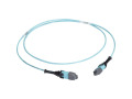 10m MTP OM3 Fiber Optic Trunk Cable Plenum 24-Strand Type A