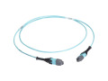 15m MTP OM3 Fiber Optic Trunk Cable Plenum 12-Strand Type A