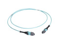 15m MTP OM3 Fiber Optic Trunk Cable Plenum 24-Strand Type A