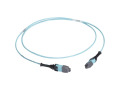 10m MTP OM3 Fiber Optic Trunk Cable Plenum 12-Strand Type A