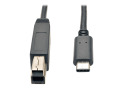 USB 3.1 Gen 2 (10 Gbps) Cable, USB Type-C (USB-C) to USB 3.0 Type-B (M/M), 3 ft.