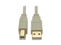 6ft USB 2.0 Hi-Speed A/B Cable M/M 28/24 AWG 480 Mbps Beige 6'