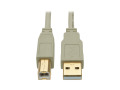10ft USB 2.0 Hi-Speed A/B Cable M/M 28/24 AWG 480 Mbps Beige 10'