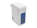 Dual Port Travel USB Wall Charger Direct Plug-In 5V / 3.4A /17W