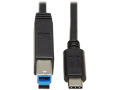Tripp Lite USB C to USB Type B Cable USB Type C 3.1 Gen 2, 10 Gbps M/M 20in