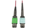 Tripp Lite Multimode Fiber Optic Cable 400G MTP/MPO-APC to 24F MTP/MPO-UPC F/F 3M
