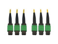 Tripp Lite Fiber Optic Cable 40/100G SMF 9/125 3x8F MTP/MPO-APC OS2 F/F 23M