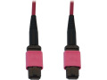 Tripp Lite 100G Multimode 50/125 OM4 Fiber Optic Cable (12F MTP/MPO-PC F/F) LSZH Magenta 20 m (65.6 ft.)