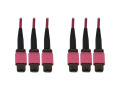 Tripp Lite Fiber Optic Cable 40/100/400G MMF 50 OM4 3x8F MTP/MPO-PC F/F 10M