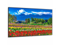 75" Ultra High Definition Professional Display with ATSC/NTSC Tuner
