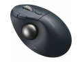 Kensington Pro Fit TB550 Mouse