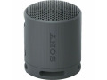 Sony XB100 Portable Bluetooth Speaker System - Black