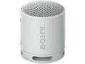 Sony XB100 Portable Bluetooth Speaker System - Gray