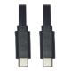 6 ft USB-C Flat Cable (M/M) - USB 2.0, Thunderbolt 3 Compatible, Black