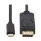 6 ft USB-C to DisplayPort Bi-Directional Adapter Cable, 4K 60Hz, Locking DP Connector, HDR, M/M