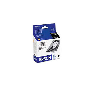 EPSON Photo Black Ink Cartridge for Stylus R800